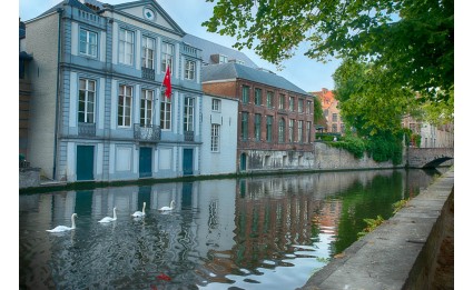 Four Swans of Bruges